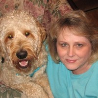 Teri Holamon