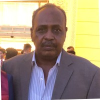Elhadi Hassan