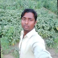 Laxminarayan Mali