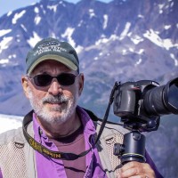 Allen D. Pecorino