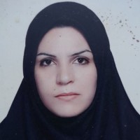 marzieh rezapour