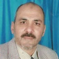 nasr alsisi