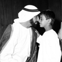 Wadima Al Mheiri, Cma, Mba