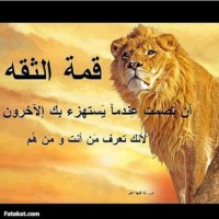 رستم محمد