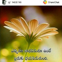 Murali Guntur