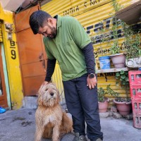 murtaza poonawalla