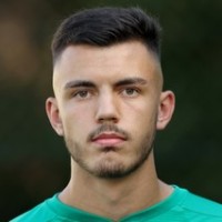 Armin Spahic