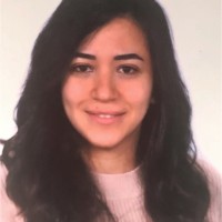 Dina H.