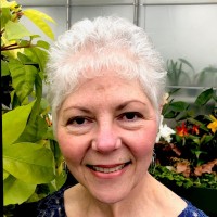 Carol Trentino