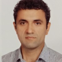 saeed talesh