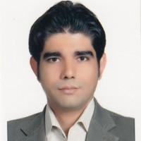 alireza vahidi