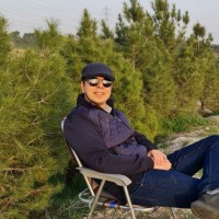 Hamed Hamidi