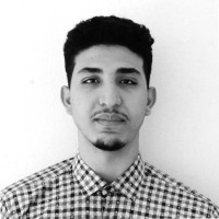 Youssef Hassiss