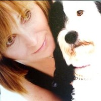 Sue Cook