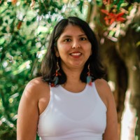 Hawi Castañeda Willca