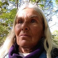 Debra Nord