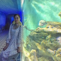 Quynh Doan