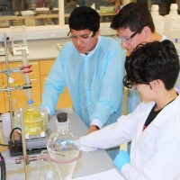 ALEXANDER DAVID NUÑEZ DIESTRA