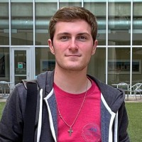 Loudan Vines