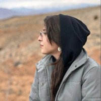Mona Pourmohammadi Sani