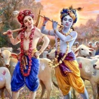 Nirav Pansuriya
