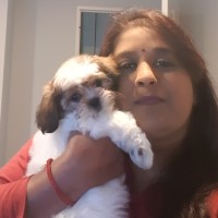 Sivi Govender