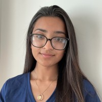 Areej Chishti