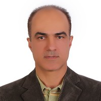Mohammadreza Safaei