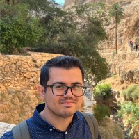 Michalis Milis