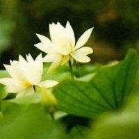 许海艳