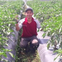 Wawan Darmawan