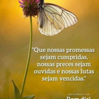 Waldyr Honoratodepaula