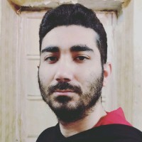 Mojtaba Rajabi