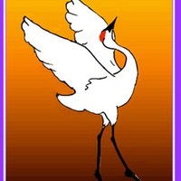 The Dancing Crane Gallery