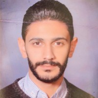 Tarek Hassn