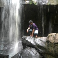 Dino Putra