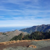 Sara Muenzenberger SHRM-CP