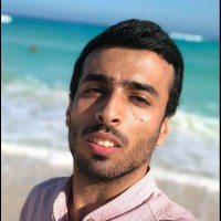 Hazem Abdelaal Hussain