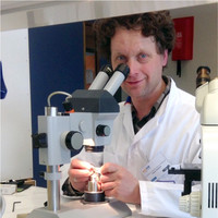Diuwerd Kramer
