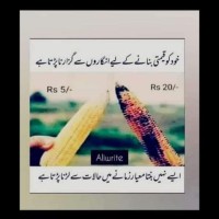 M.Talha Ashfaq M.Ashfaq