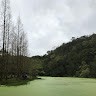 高世宗