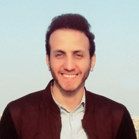 Amr Ali Elmasry
