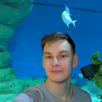Daniil Litvinov