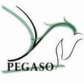 Consorzio Pegaso