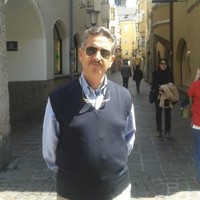 michele ercolino