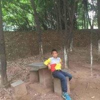 袁嘉鸿