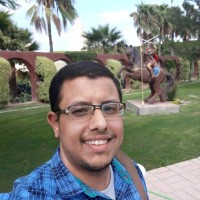 Bishoy Mousa