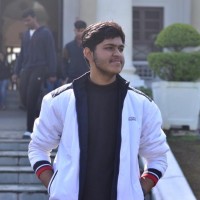 Aryan Ray