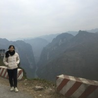Vi Huynh