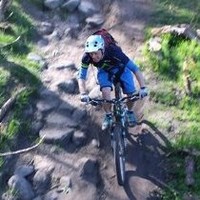 Adam Simmonite